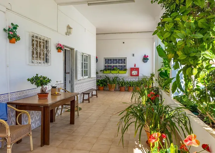 Carruna 알부페이라