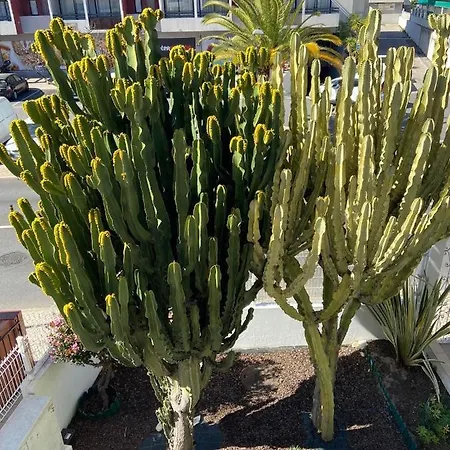 アパートホテル Carruna 4*