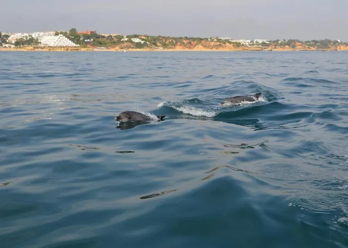 Carruna アパートホテル アルブフェイラ